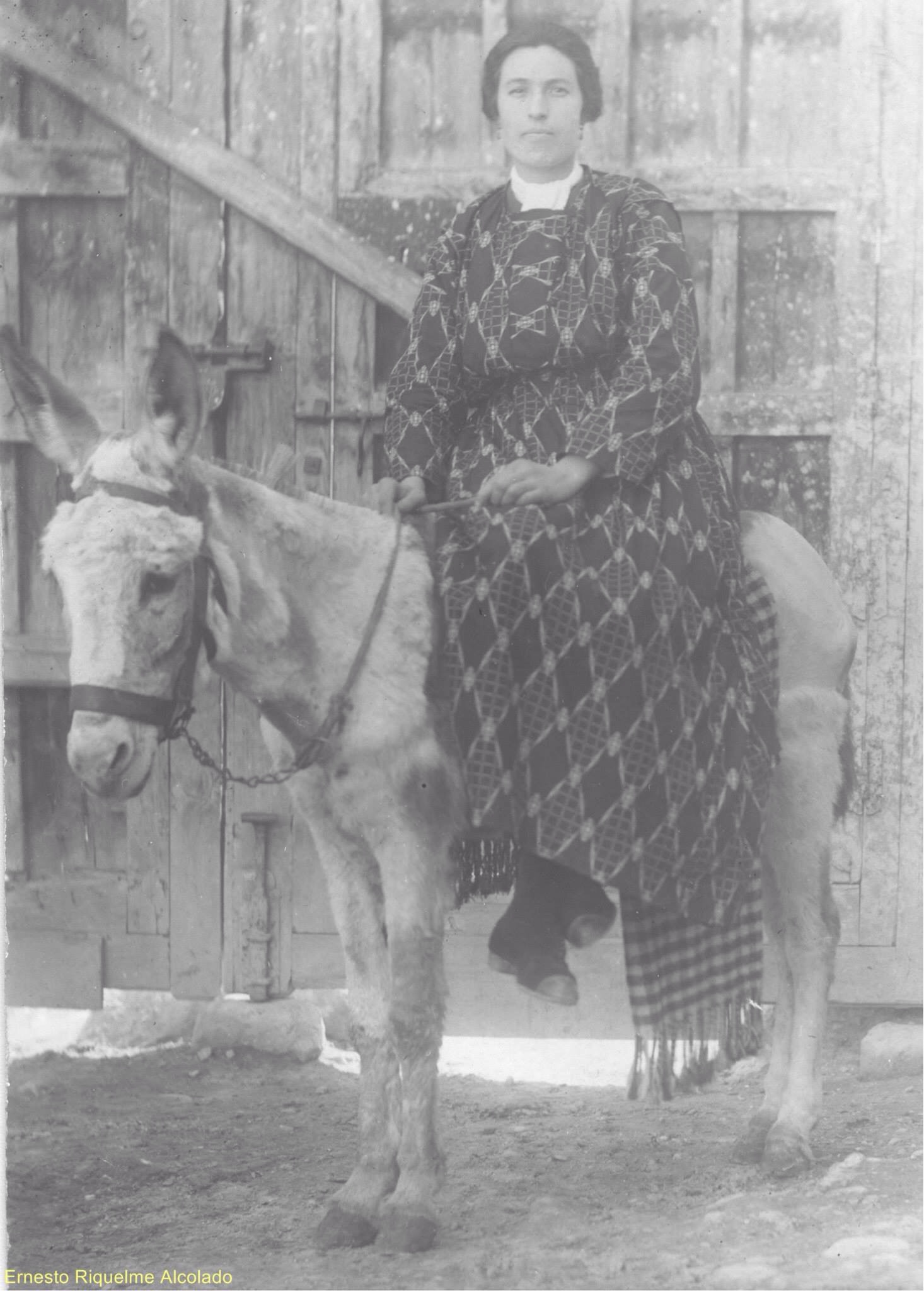 Adelaida García Contreras